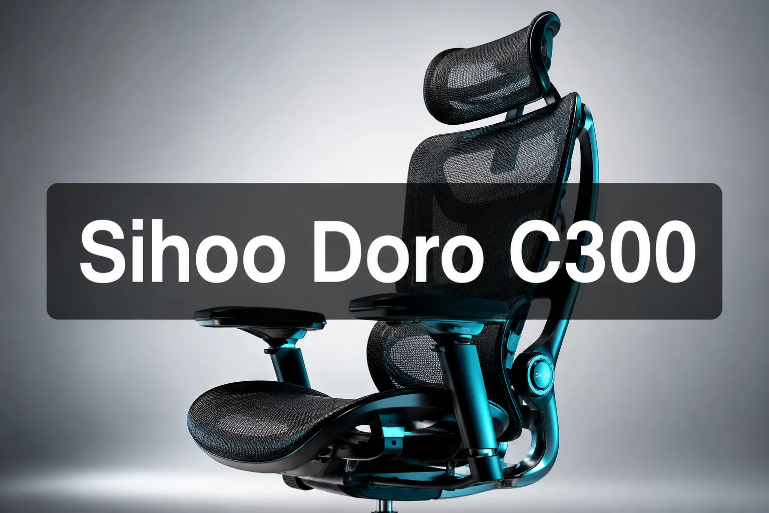 Sihoo Doro C300 Ergonomic Office Chair